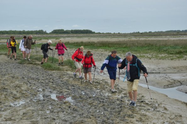 4 Baie de Somme (12)